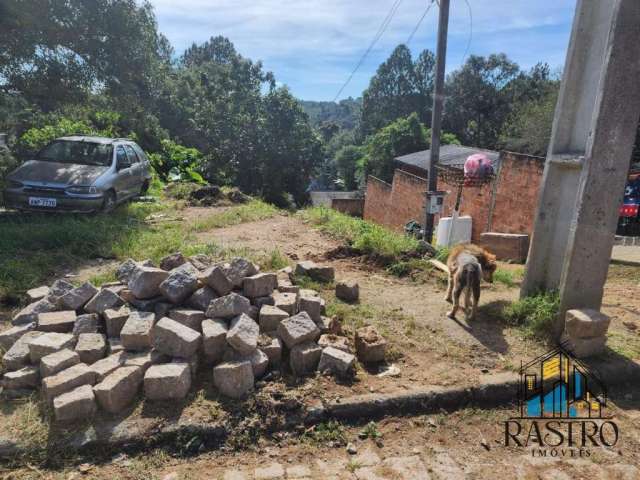 Terreno para Venda em Quatro Barras, ***Borda do Campo***