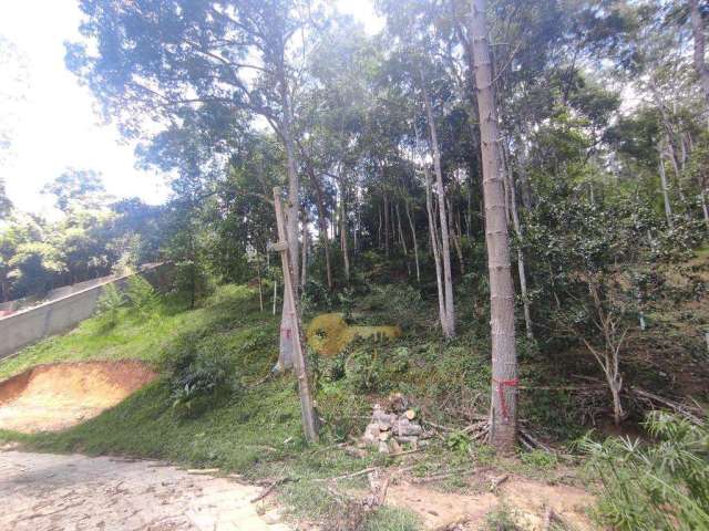 Terreno para Venda em Teresópolis, Parque do Imbui