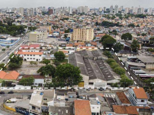 Terreno 10000 metros Bom Clima