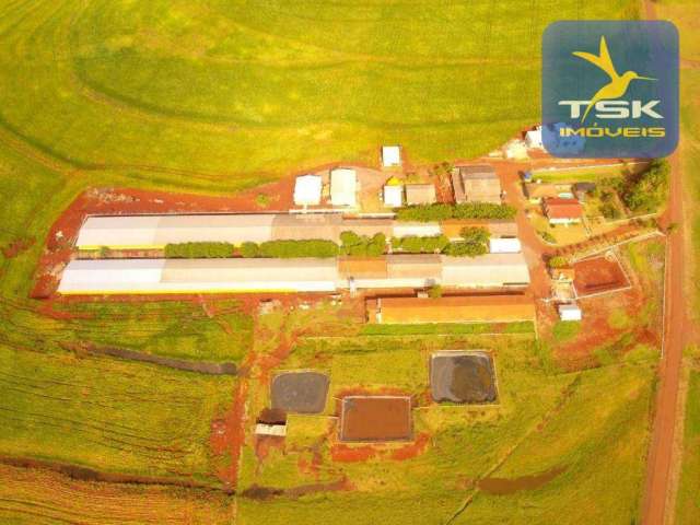 Chácara à venda, 145000 m² por R$ 23.000.000,00 - Vila Pioneiro - Toledo/PR