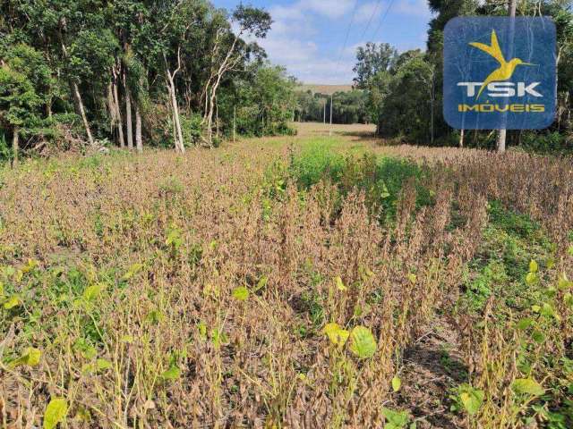 Chácara à venda, 59030 m² por R$ 437.000,00 - Zona Rural - Contenda/PR