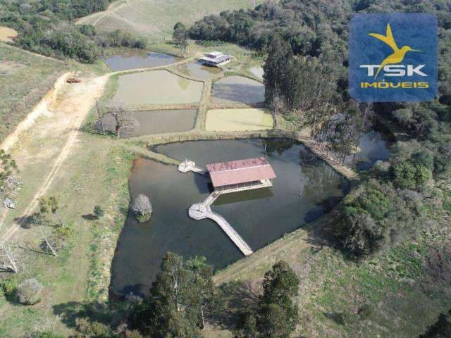 Chácara à venda, 96800 m² por R$ 1.300.000 - Zona Rural - Quitandinha/PR