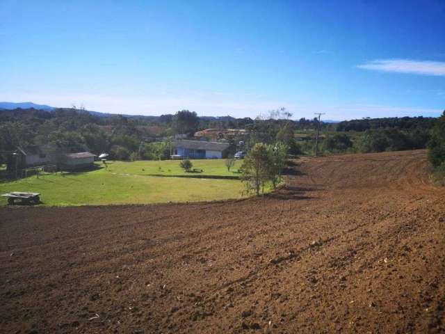 Chácara à venda, 121000 m² por R$ 1.500.000,00 - Zona Rural - Tijucas do Sul/PR