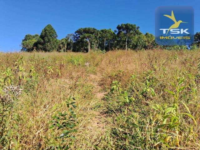 Chácara à venda, 254100 m² por R$ 946.000,00 - Zona Rural - Quitandinha/PR