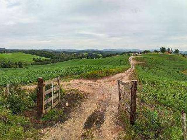 Fazenda com 3 dormitórios à venda, 798600 m² por R$ 15.000.000,00 - Estiva - Bocaiúva do Sul/PR