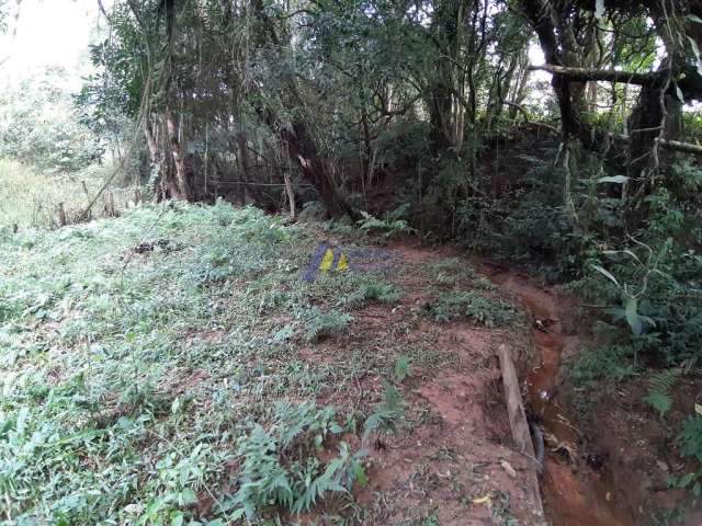 Chácara em Rio Abaixinho  -  Araucária