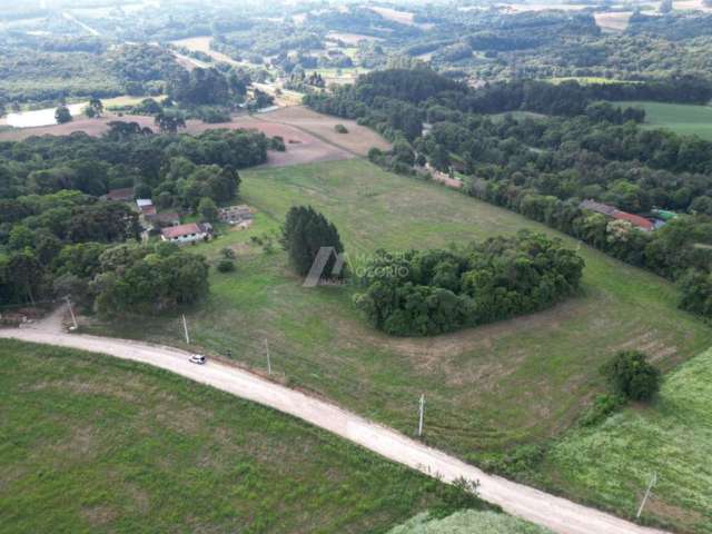 Linda Chácara em Taquarova, 700m PR 423 e 11 km do Centro de Araucária