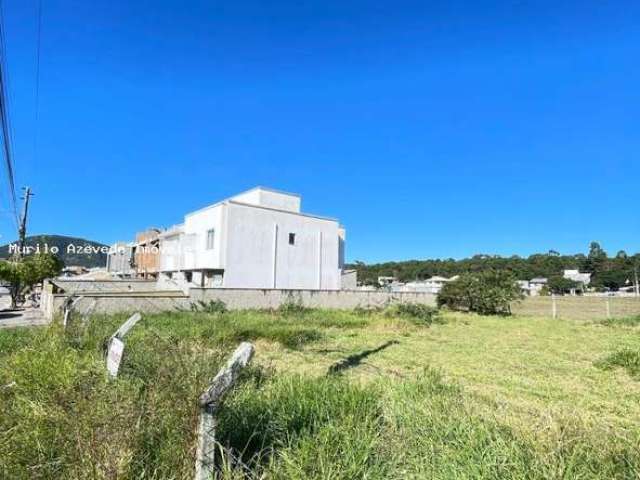 Terreno para Venda em Florianópolis, São João do Rio Vermelho