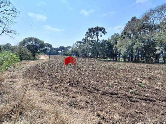 Terreno com 69.216,89m² , à venda, no bairro Campo Largo da Roseira em São José dos Pinhais