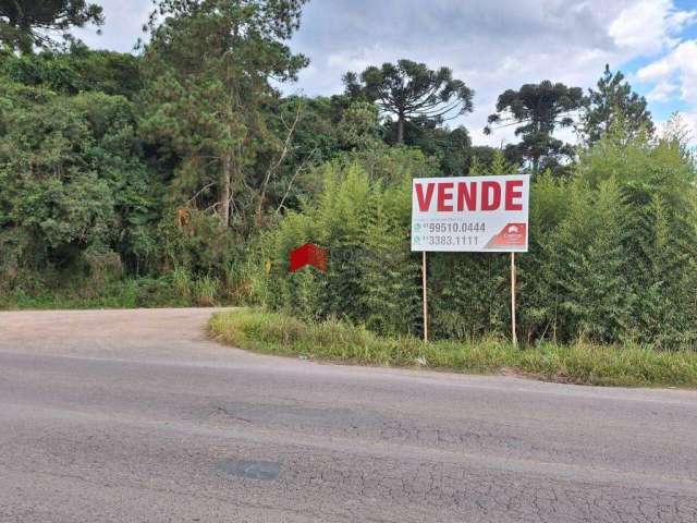 Terreno com 33.717m² 2 quartos, à venda, no bairro Cachoeira em São José dos Pinhais