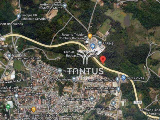 Terreno à venda, 30250 m² por R$ 3.600.000,00 - Campina Do Arruda - Almirante Tamandaré/PR