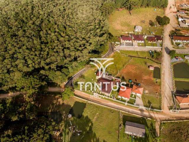 Chácara à venda, 76040 m² por R$ 1.700.000,00 - Boichininga - Almirante Tamandaré/PR