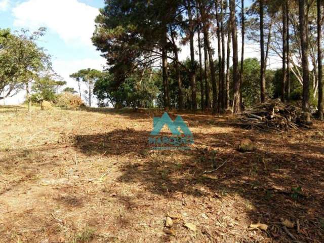 Lindo terreno com escritura no Itamaraty