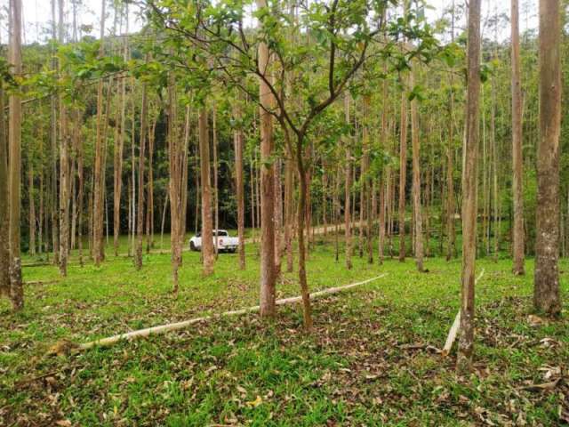 Terreno à venda no Dom Joaquim, Brusque  por R$ 990