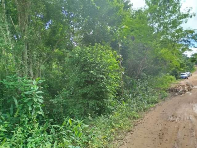 Venda de Terreno na Reserva Sapiranga