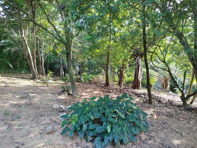 Oportunidade Única: Terreno em meio à Natureza na região do Arua