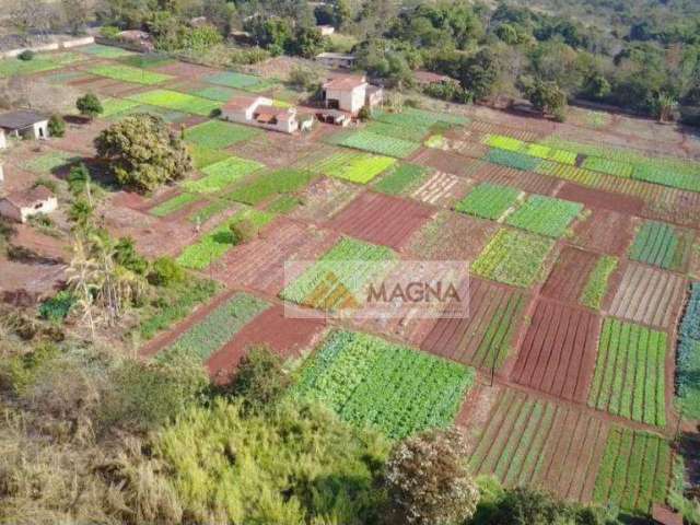 Área à venda, 24840 m² por R$ 11.178.000,00 - Jardim Itaú - Ribeirão Preto/SP