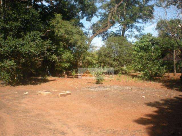 Chácara residencial à venda, Conjunto Habitacional Jardim das Palmeiras, Ribeirão Preto.