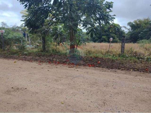 Terrenos  no Loteamento Rincão Mimoso : Ótima Localização e Preço!