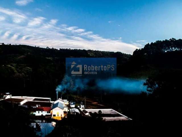 Fazenda de café a venda em minas gerais - conceição do rio verde