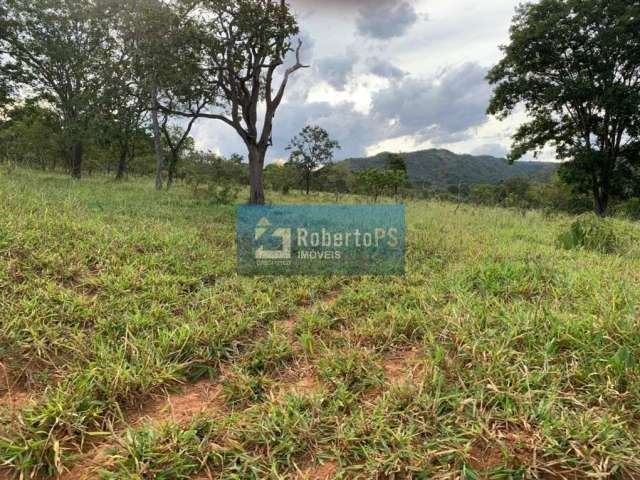 Fazenda de gado à venda na região de Paracatu - MG com 212 hectares