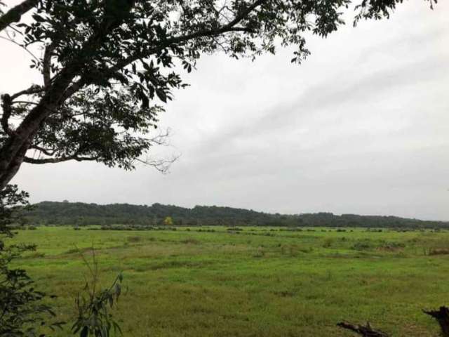 Fazenda para Venda em Registro, Matão de Dentro Inv