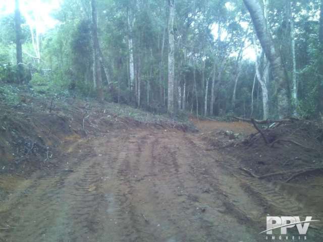 Terreno para Venda em Teresópolis, Fazenda Suiça