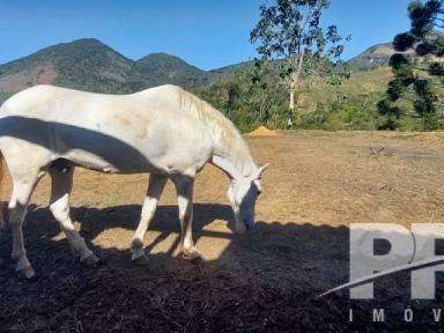 Sítio para Venda em Teresópolis, Fazenda Alpina, 2 dormitórios, 1 banheiro