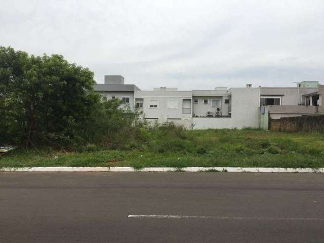 Terreno 10 x 30  300 M² Avenida Doutor Severo da Silva Bairro Mont Serrat