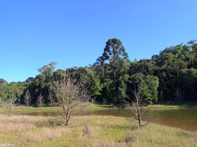 Sítio / Chácara para Venda em Tijucas do Sul, Represa do Vossoroca