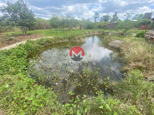 PROPRIEDADE com 06 HECTARES a 300 METROS DA RODOVIA CE 156 apenas 1H de FORTALEZA | Catuana, Caucaia-CE