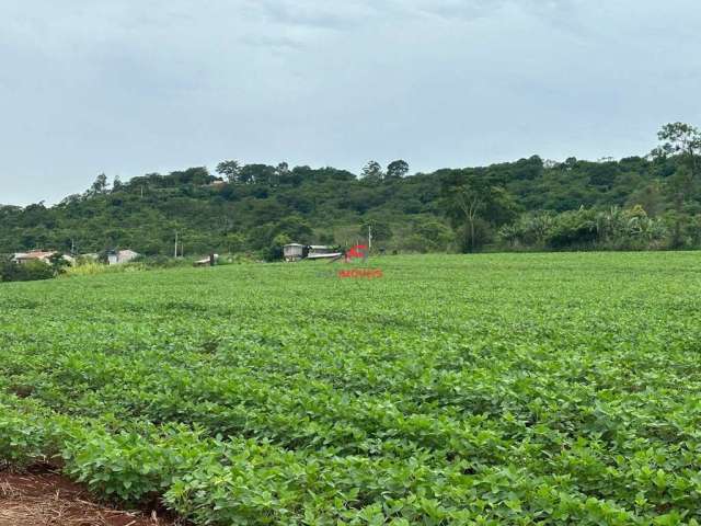 Chácara à venda - lote - Distrito Água Boa