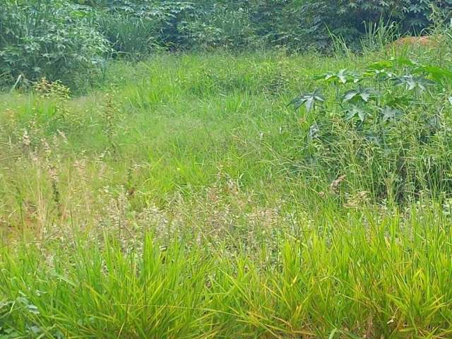 Terreno à venda, 750 m² - Estância Balneária Águas Virtuosas - Bauru/SP