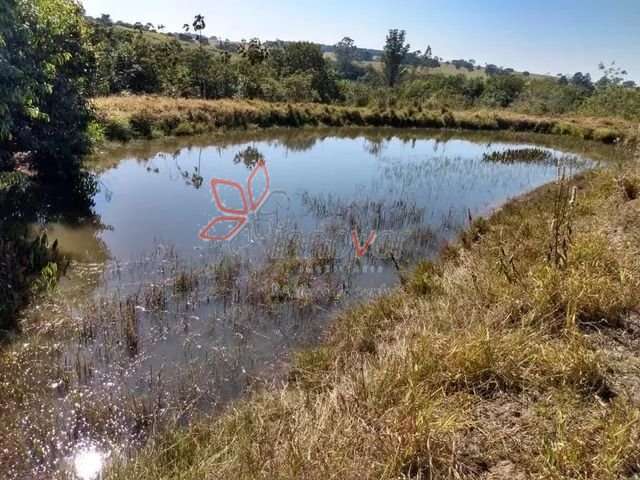 Sítio em Arealva-SP, 4,15 alqueires.