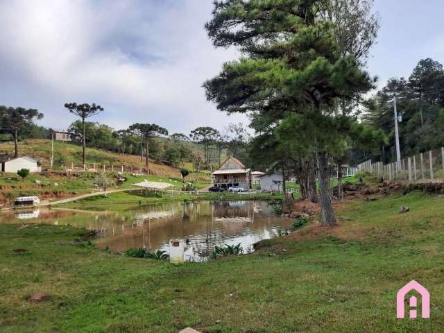 Chácara / sítio com 2 quartos à venda na Zona Rural, Caxias do Sul  por R$ 900.000