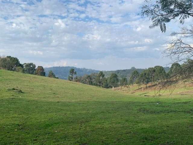 Terreno à venda na Zona Rural, Farroupilha  por R$ 1.200.000