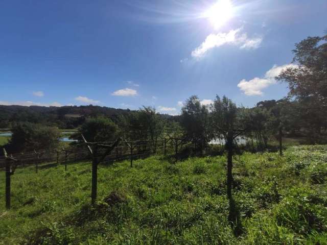 Terreno à venda na Zona Rural, Caxias do Sul  por R$ 550.000