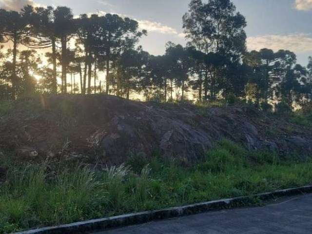 Terreno à venda na Bela Vista, Caxias do Sul  por R$ 180.000