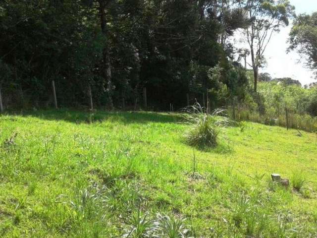 Terreno à venda no Santa Catarina, Caxias do Sul  por R$ 425.000