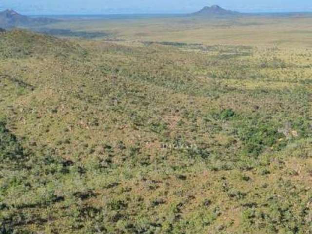 Fazenda à venda, 4017200000 m² por R$ 3.800.000.000,00 (três bilhões e oitocentos milhões de reais)- Rural - Lizarda/TO