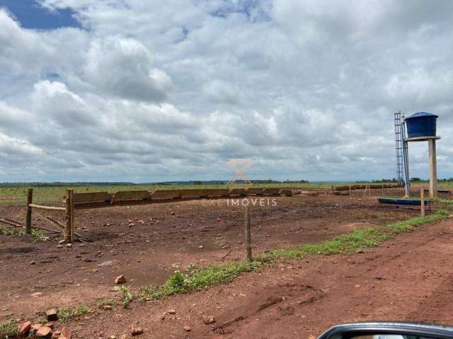 Fazenda à venda, 73600000 m² por R$ 350.000.000 - Zona Rural - Balsas/MA