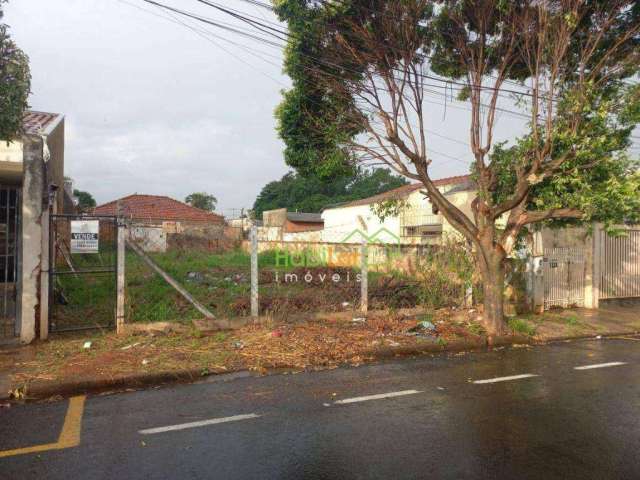 Terreno à venda, 310 m² por R$ 300.000,00 - Vila Zilda - São José do Rio Preto/SP