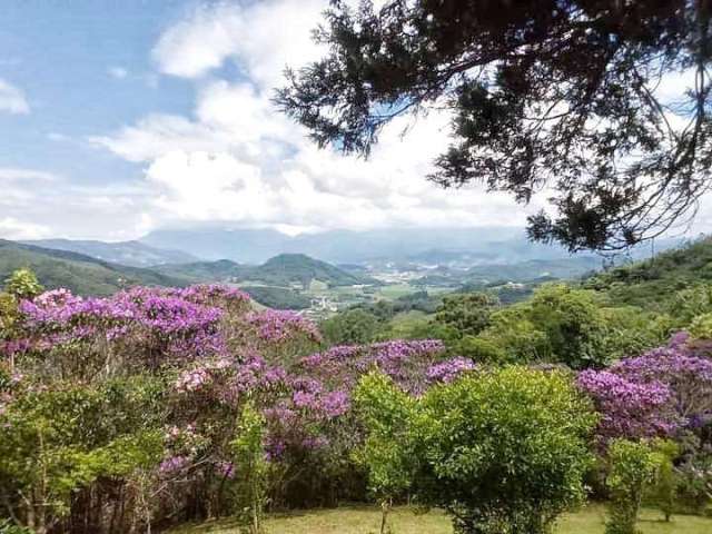 Sítio para Venda em Santo Amaro da Imperatriz, Varginha, 5 dormitórios, 2 suítes, 6 banheiros, 1 vaga