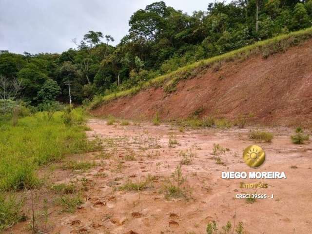 Área Industrial á venda em Terra Preta com 23.000m²