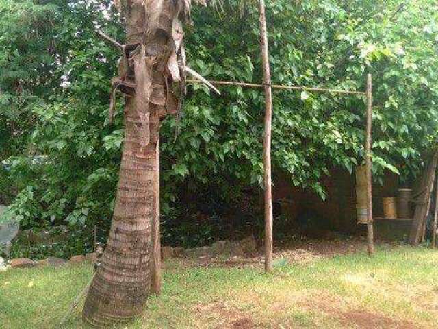 Casa para Venda em Ribeirão Preto, Bonfim Paulista, 3 dormitórios, 2 banheiros