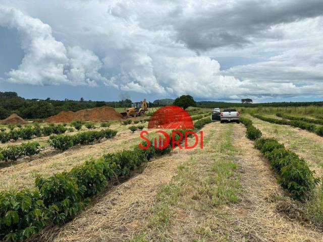 Sítio com 2 dormitórios à venda, 242000 m² por R$ 3.000.000,00 - Zona Rural - Santo Antônio da Alegria/SP