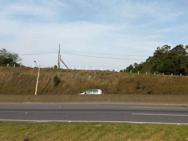 Terreno à venda na Rodovia BR-101, --, Floresta, Joinville por R$ 14.000.000