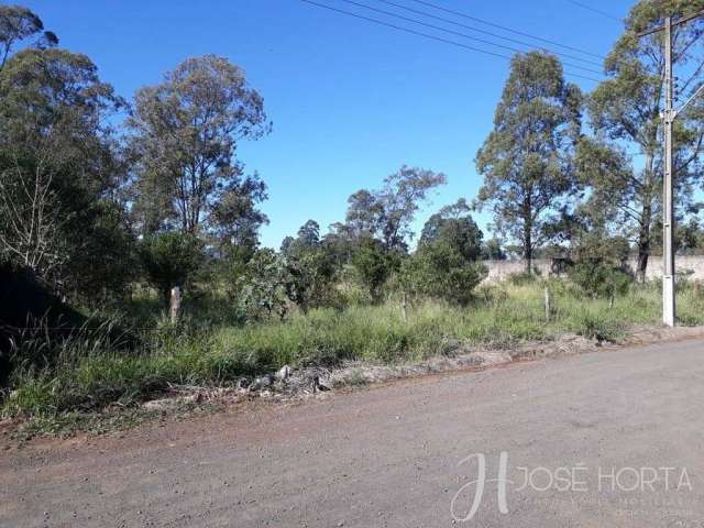 Pagamento em até 10X - Terreno 5.000 m² - Gleba Arapongas