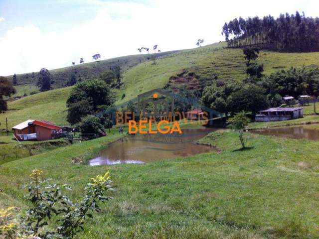 Fazenda para Venda em Piracaia, Centro