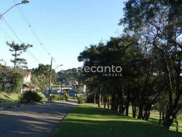 TERRENO À VENDA, 707 M² - ALTOS PINHEIROS - CANELA/RS, Centro, Canela - RS